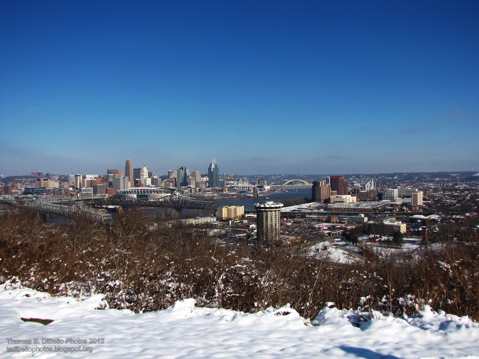 Portraits of Covington Snow!