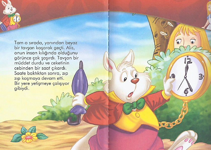 fairy tale country masal ulkesi alis