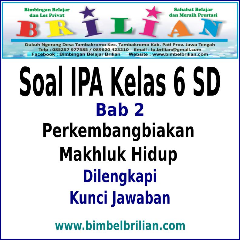 Soal Hots Ipa Kelas 6 Perkembangbiakan Tumbuhan