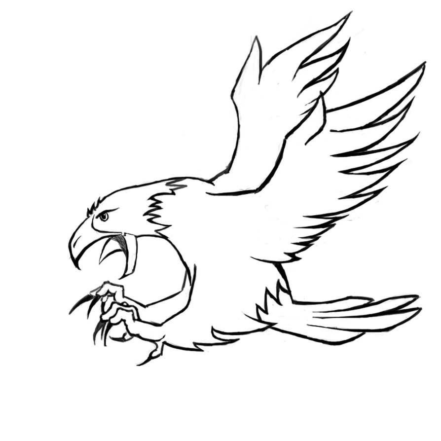 56 Cara Menggambar Sketsa Burung Elang Gambar Baru