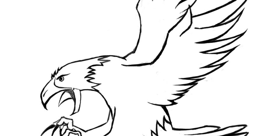 mewarnai gambar burung garuda download