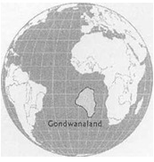 Gondwanaföld Gondwanaföld