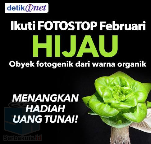 Kontes FotoStop Hijau Februari 2016 Berhadiah Uang 500K Kontes FotoStop Hijau Februari 2016 Berhadiah Uang 500K