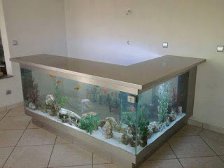 menghias aquarium