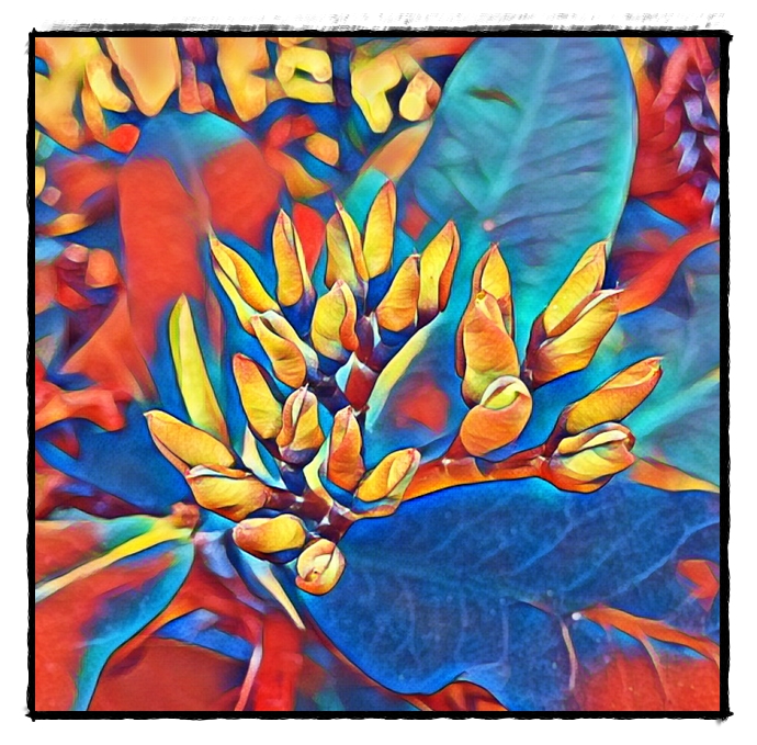 My Image 22