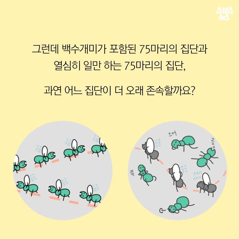 원본 크기로 보시려면 그림을 클릭하세요.