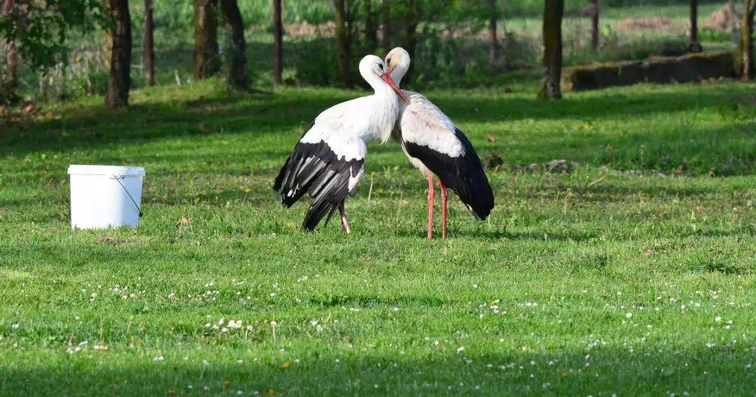 Klepetan I Malena Home Facebook