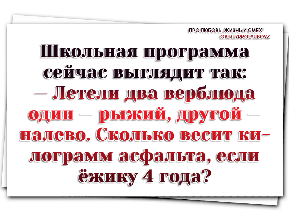 летели два верблюда один рыжий другой налево сколько весит. летели два верблюда один рыжий другой налево. задача летели два верблюда один рыжий другой налево сколько весит. летели два верблюда один рыжий другой налево сколько. летели два верблюда один рыжий другой налево сколько.