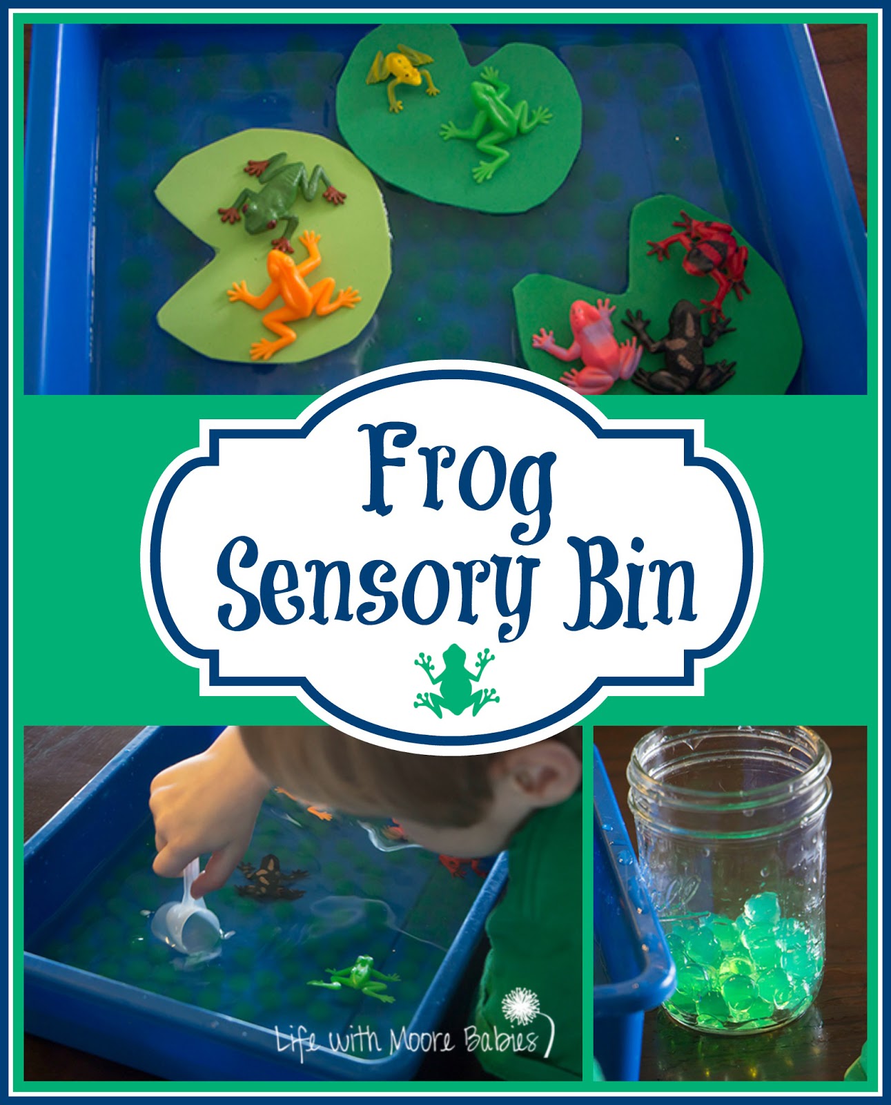 Frog Themed Sensory Bin for a Hopping Good Time Life with Moore Babies