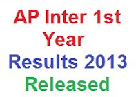 AP Inter 1st Year Result 2013