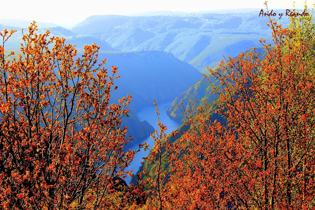 Qué ver en Ribeira Sacra Ruta en coche Mirador de Cabezoas, cañones del río Sil en la Ribeira Sacra, Orense,