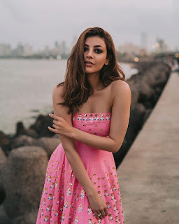 Gorgeous Indian Actress Kajal Aggarwal Pictureshoot In Pink Gown (3)