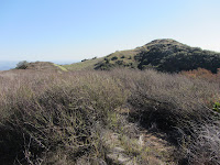 View south along ridge toward Summit 2843