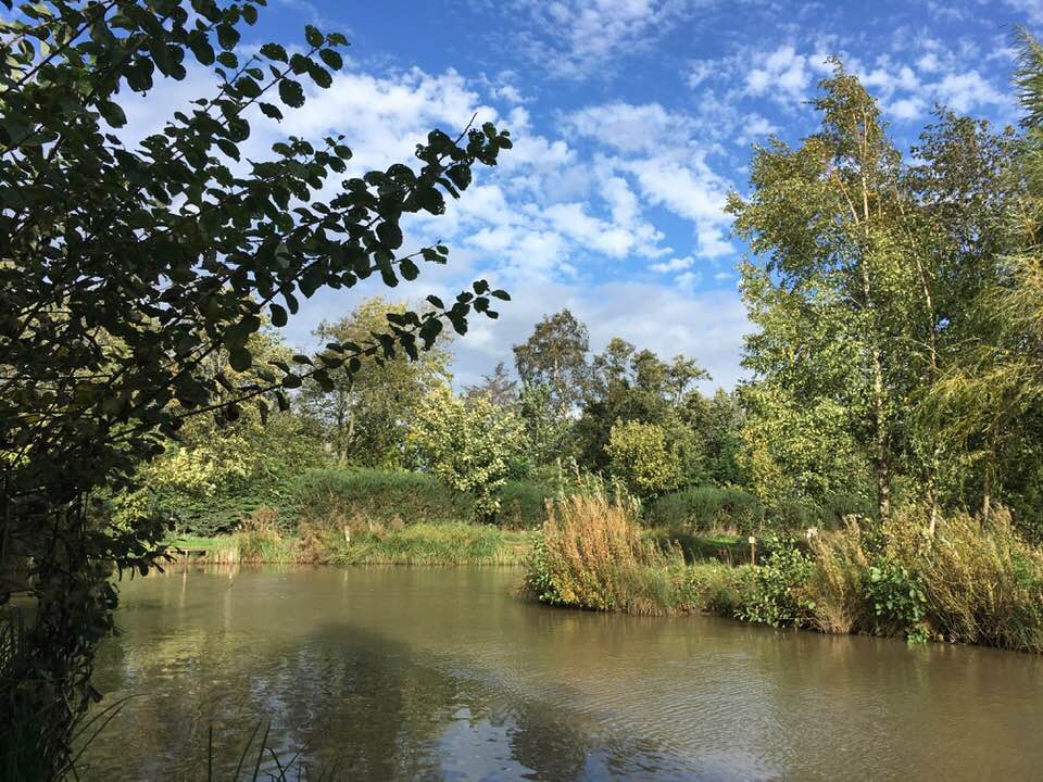 Oaks sessay maple lake picture