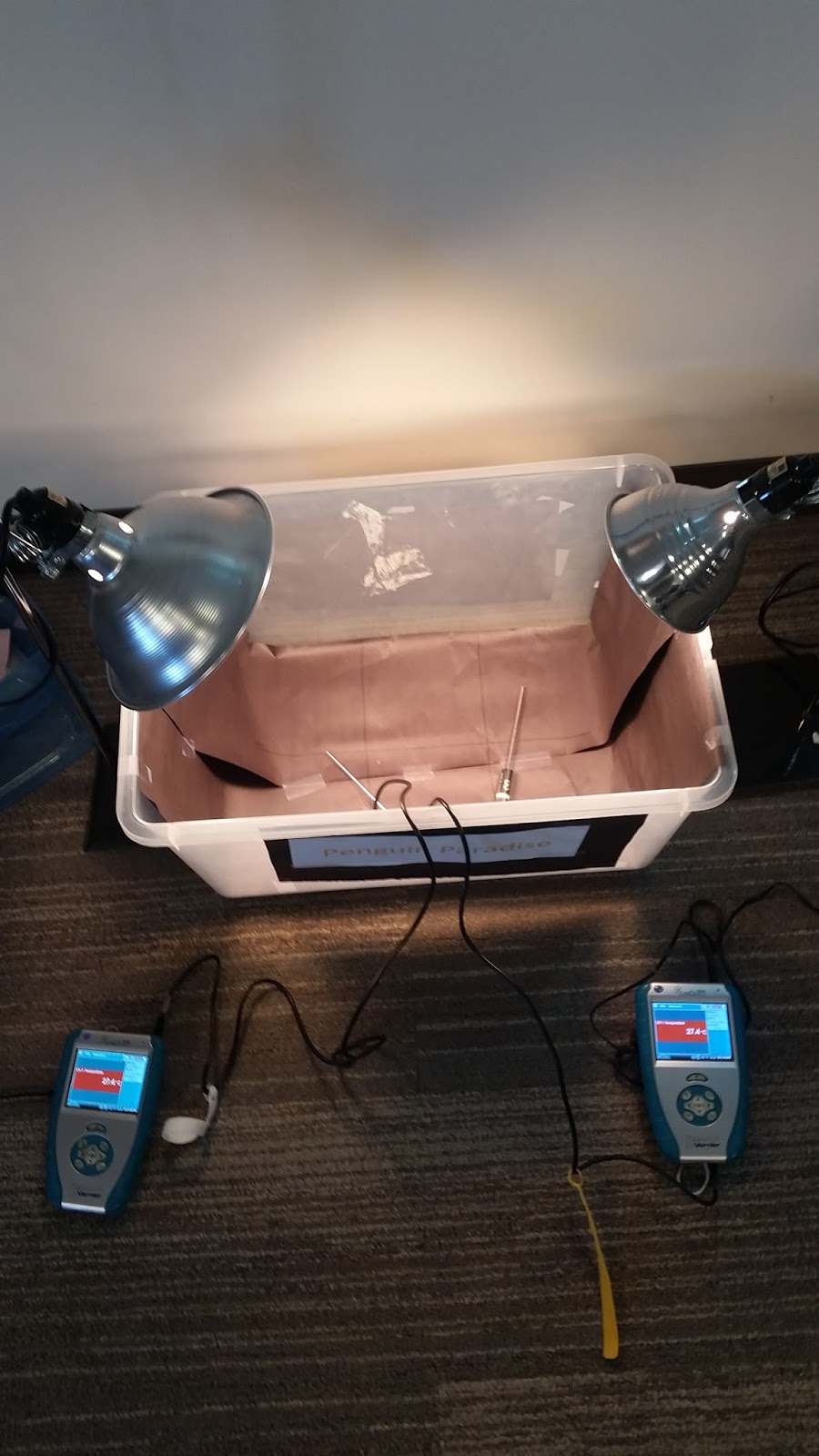 Did I Miss Anything Yesterday?: Save the Penguins!