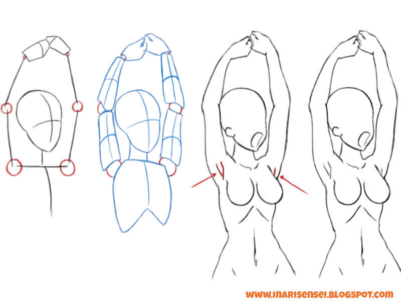 Les Cours Mangas D Inari Sensei Tutoriel Les Bases Pour Dessiner Les Bras