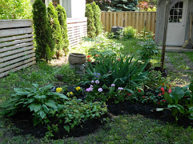 Mount Pleasant West garden clean up after  Paul Jung Gardening Services Toronto