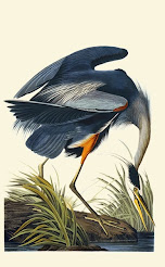 T. Gilbert Pearson Audubon Society