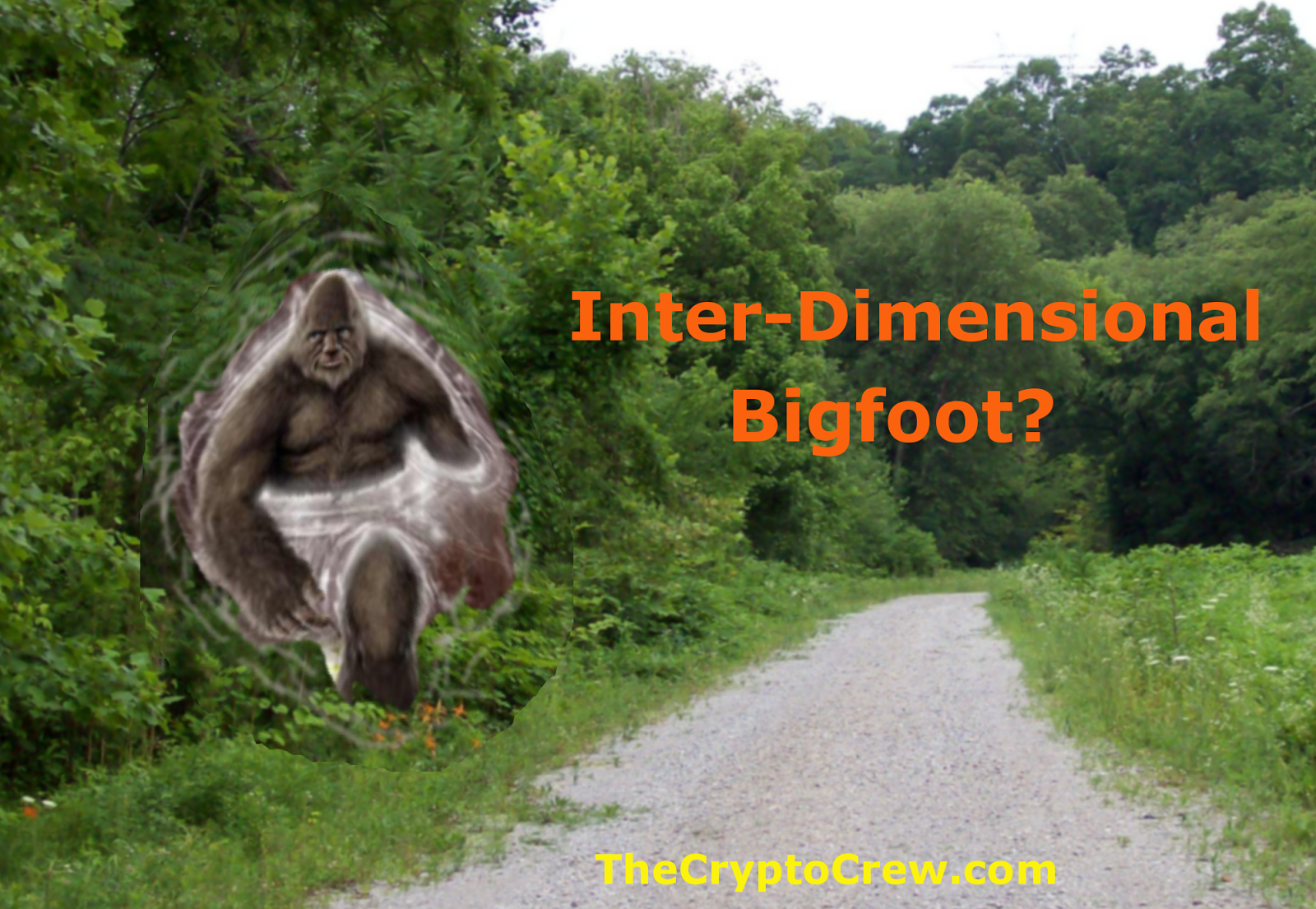 Can Bigfoot travel in Dimensions