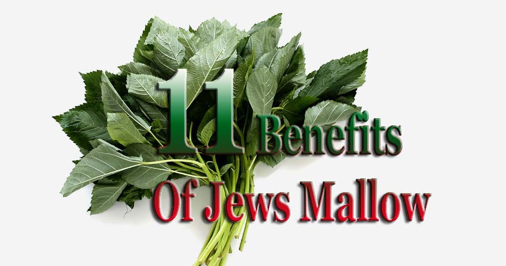 11 Benefits Of Jews Mallow Natural Remedies And Treatment