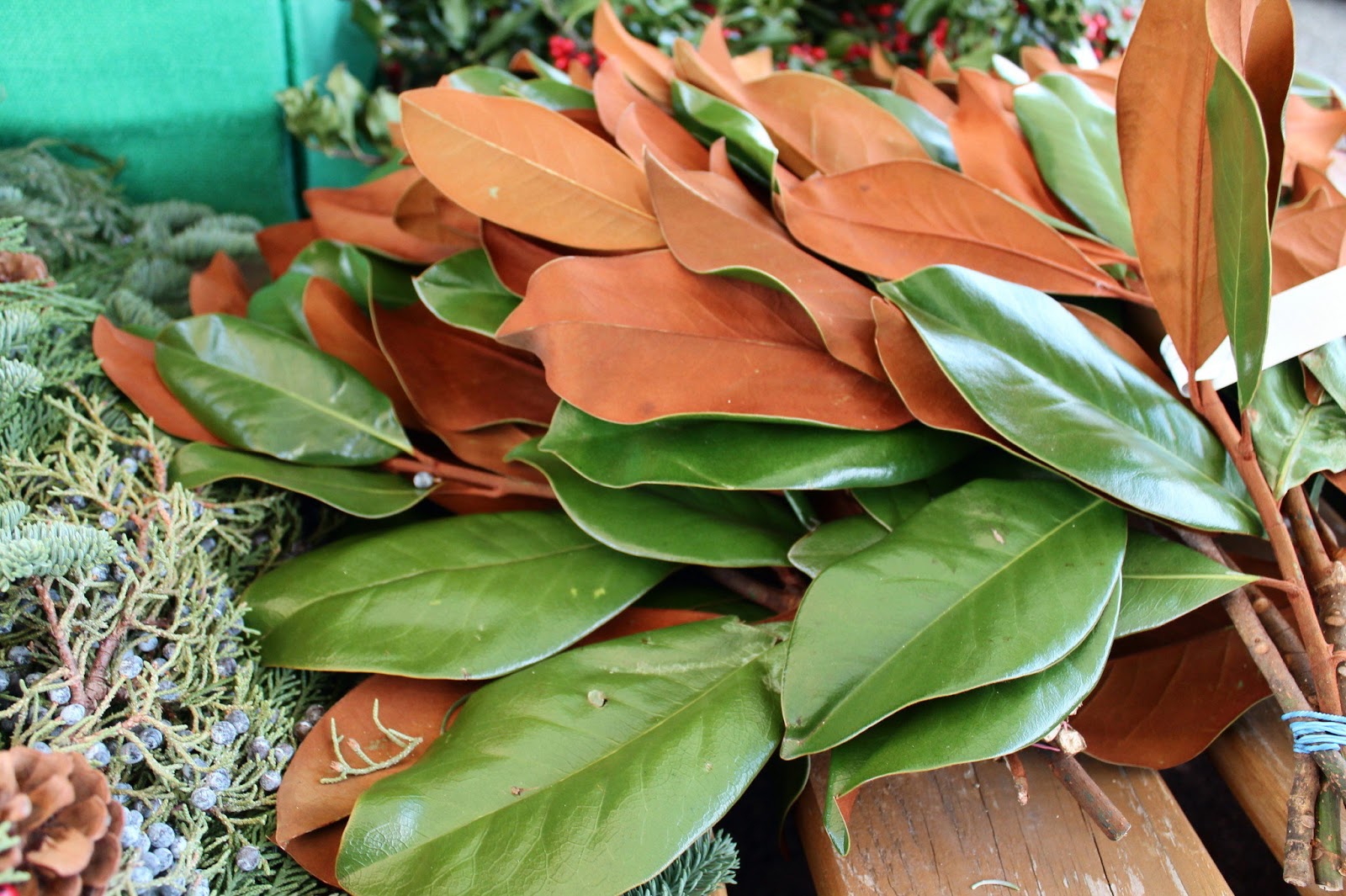 HOW TO Preserve Your Magnolia Leaves