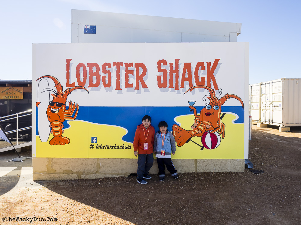 Pinnacles, Lancelin Dunes and Lobster Shack tour Review TheWackyDuo