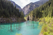 Only in Kazakhstan, the Magic Lake with the Forest inside