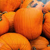 Health benefits of orange Pumpkin or Kaddu