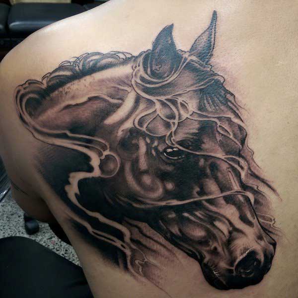 tatuagens de cavalos tatuagens de cavalos