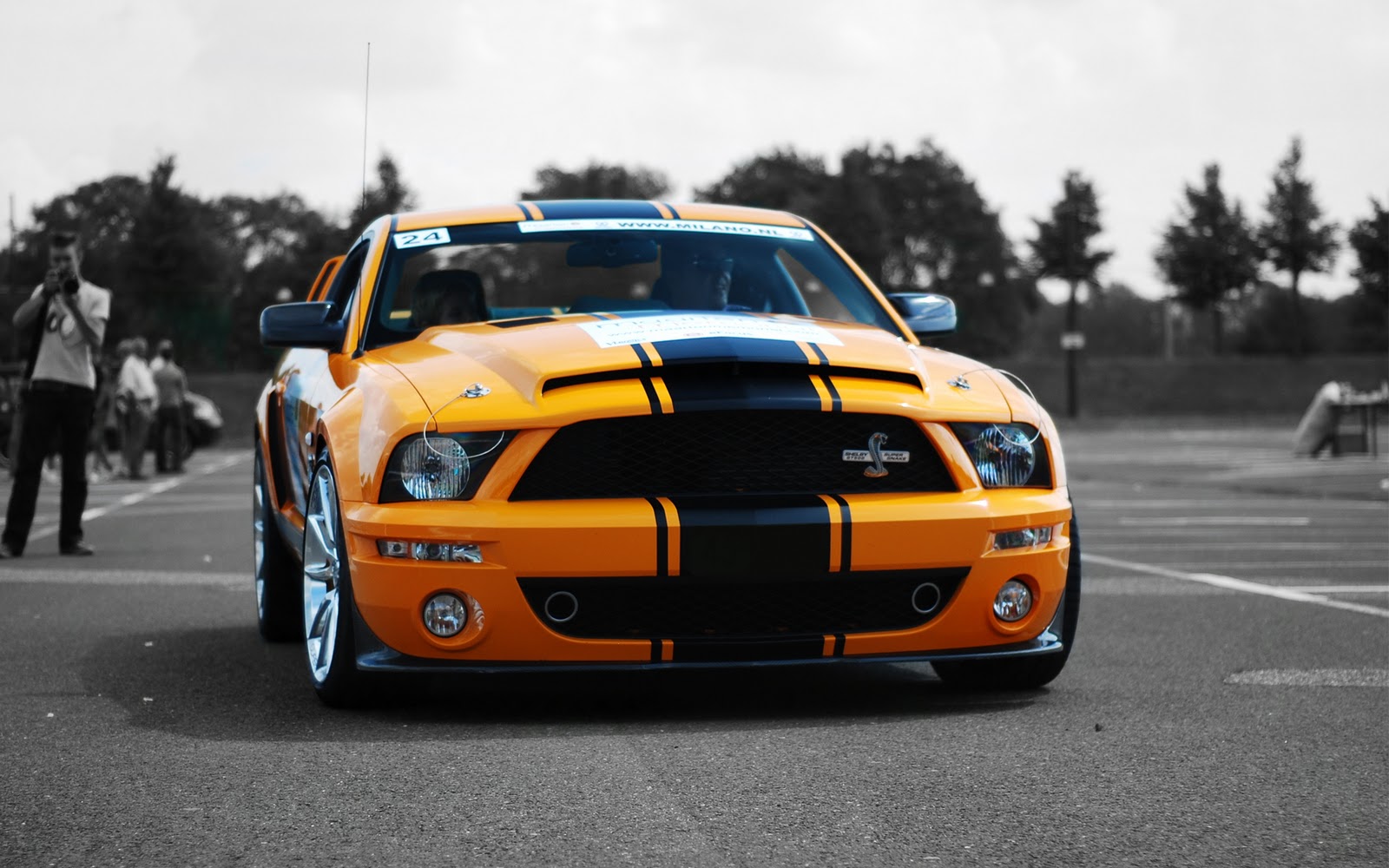 Ford mustang shelby gt500 super snake wallpaper hd #7