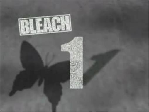 Bleach 3D: Bleach T.1 EP.1
