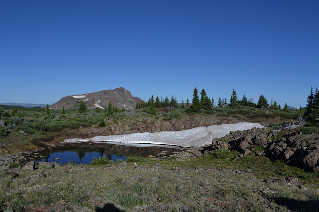 leftover snow beside a pond