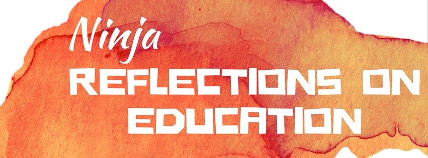 Ninja Reflections on Education