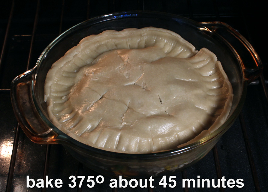 the-99-cent-chef-2015