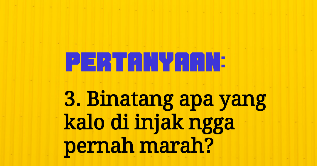 Tebak Tebakan Logika TEKA TEKI LUCU