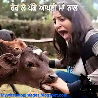 Funny Punjabi Whatsapp Images