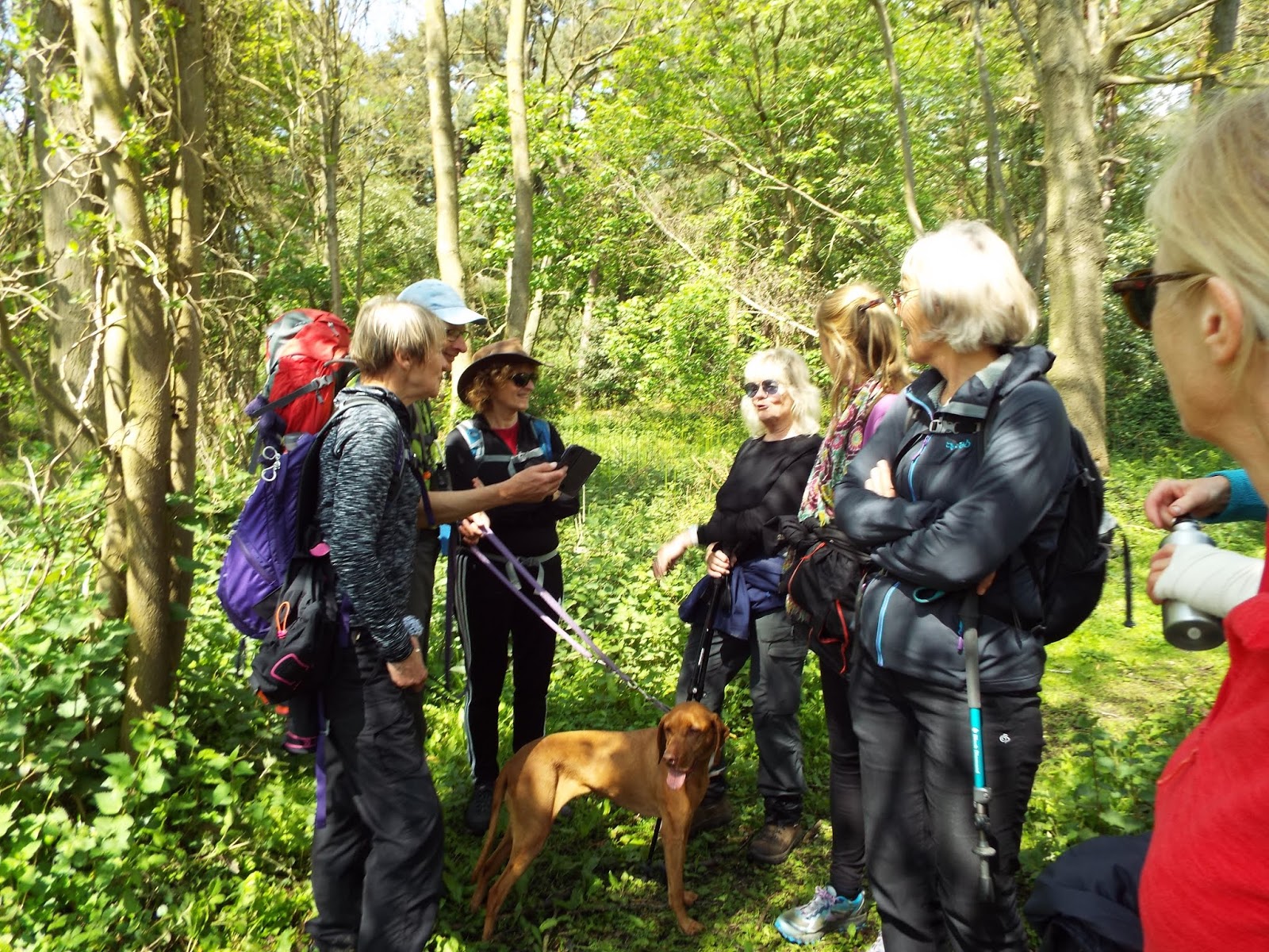 Reinterred Fornham St. Genevieve Walk