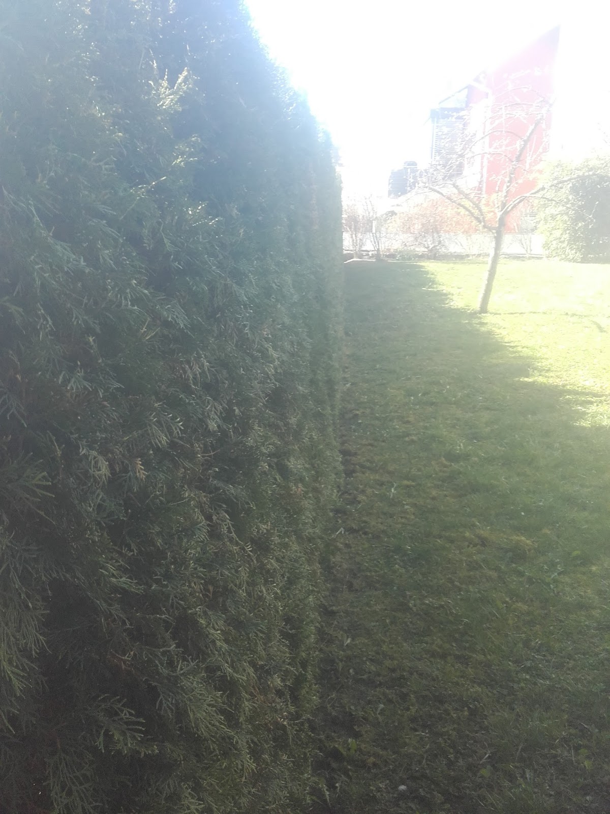 Praxisjahr 2016 17 Muller Nurtingen De Marz 2017