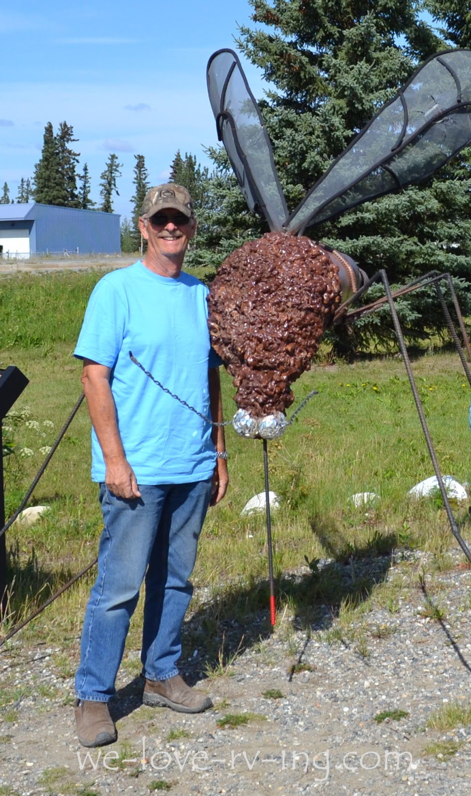 We Love RV'ing Travels to Tok Delta Junction, Alaska