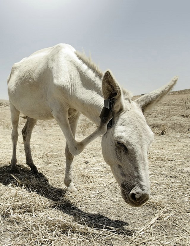 serba serbi: Gambar Lucu