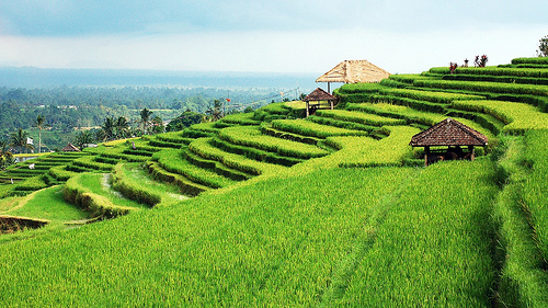  is 1 of the regencies inward the province of Bali Awesome Tabanan Regency, Bali