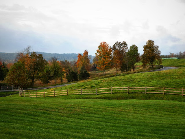 Property in Upstate New York.