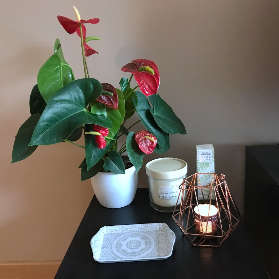 Anthurium con flores