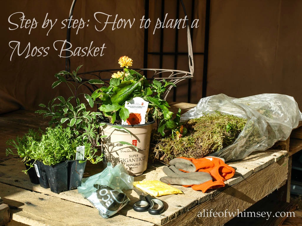 A Life of Whimsey Step by Step How to plant a Moss Basket