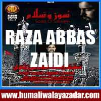 http://ishqehaider.blogspot.com/2013/11/raza-abbas-zaidi-nohay-2014.html