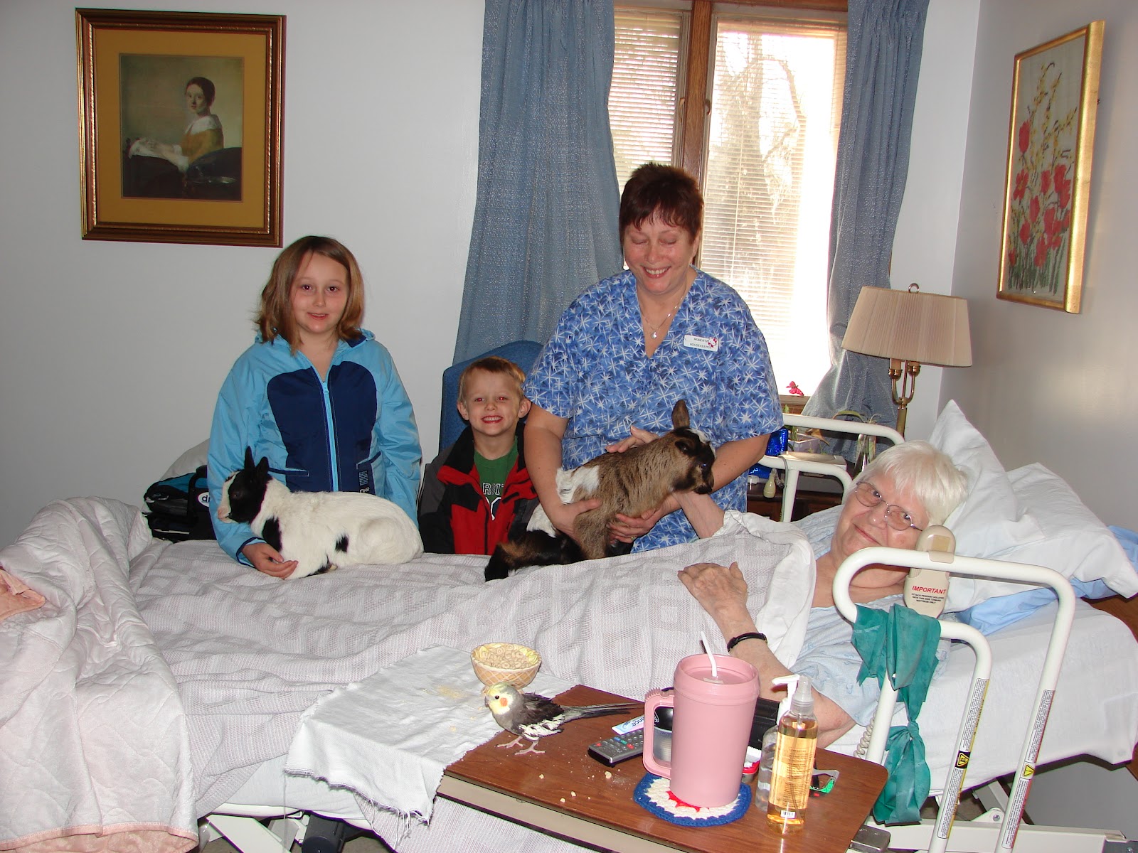 Life of a Rug Weaver First Trip to Nursing Home With Baby Goats