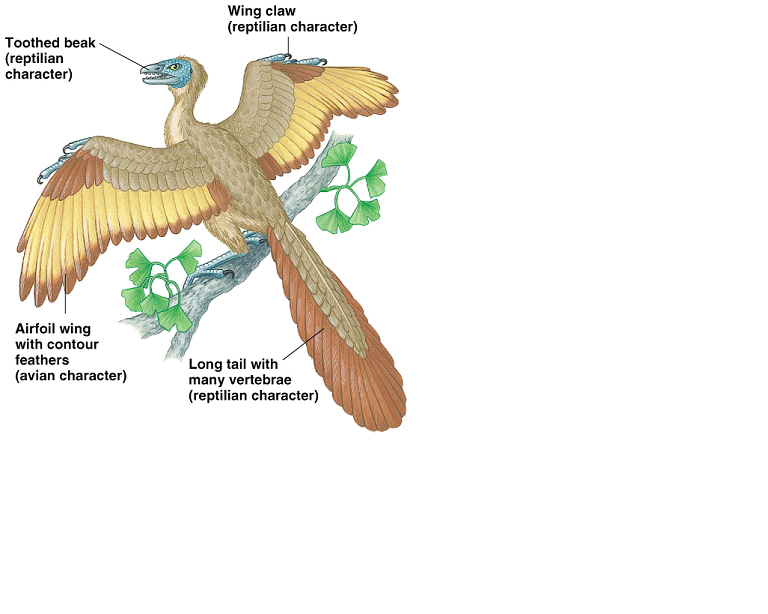 Standard Note ORIGIN AND EVOLUTION OF LIFE