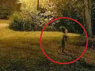 Extraña criatura es fotografiada corriendo por un jardín por la noche