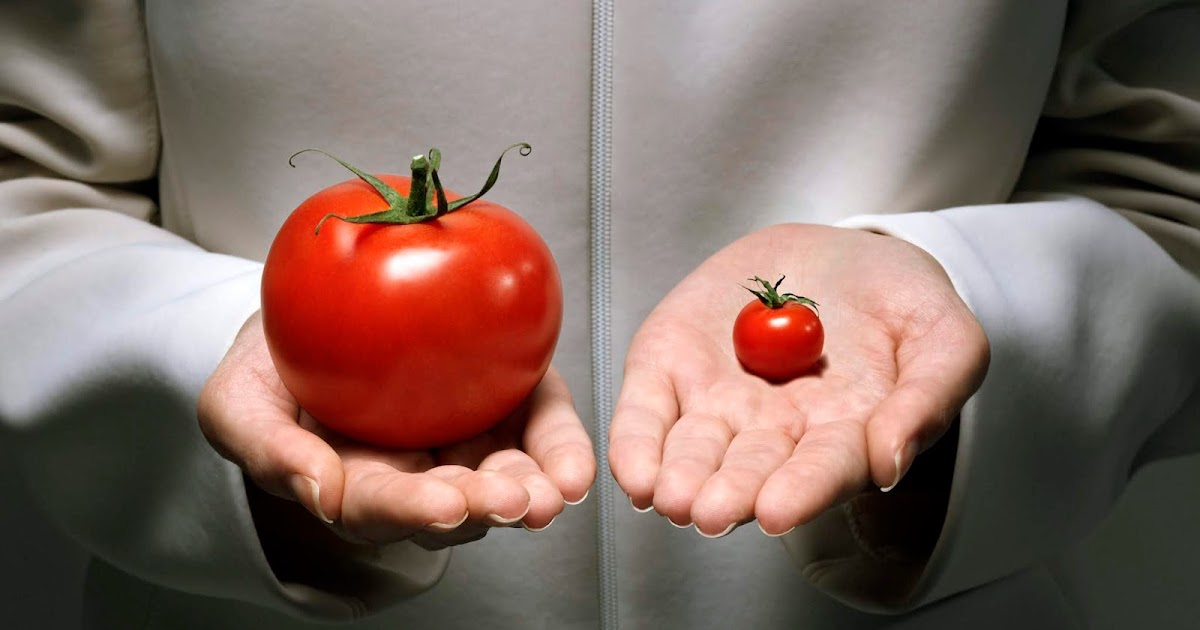 4th International Congress on Advances in Food Chemistry and Technology