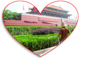 Freetime activities and routines